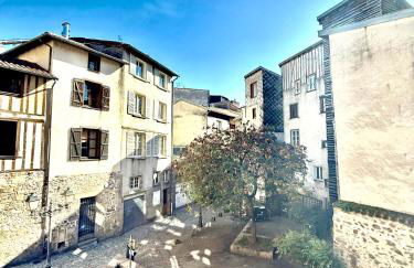 Limoges Centre Appartement de Charme - Foto 20