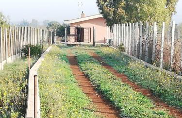 La villetta senza tempo - Foto 40