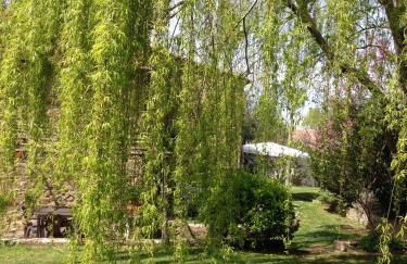 Antico Casale Pozzuolo - Foto 70