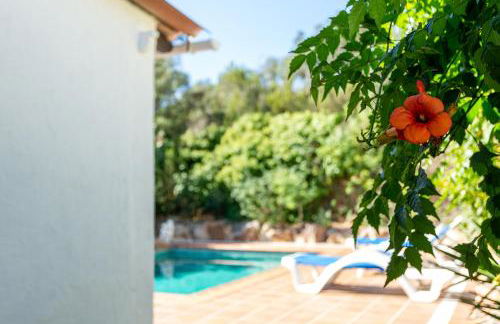 Sea près des golfs - Oleander - Foto 25