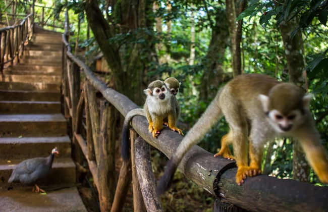 Hideaway Beach Properties by Caribe Stays - Foto 37