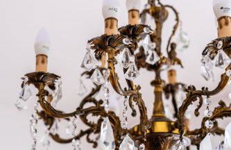 Helianthus - Photo 38