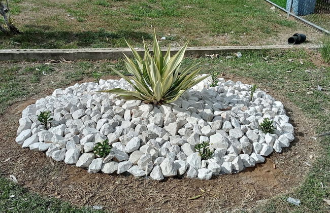 Villa Jobos in Isabela - Foto 36