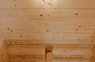 Na Wierchach - domki z prywatnym jacuzzi - Foto 50