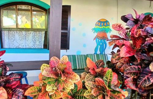 De Boa na Lagoa Cabo Frio, Praias Peró, Conchas e Ilha do Japonês - Foto 2