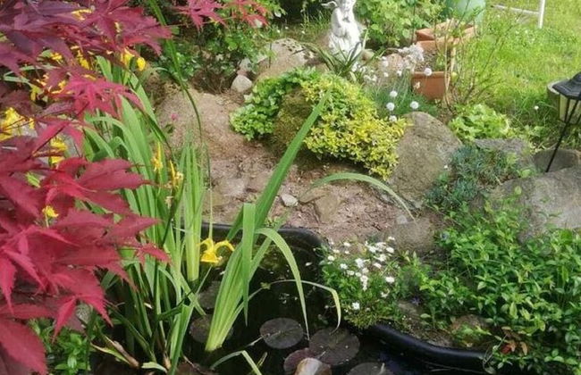 Holiday Home Near Forest and Lake in Pomeranian - Photo 21