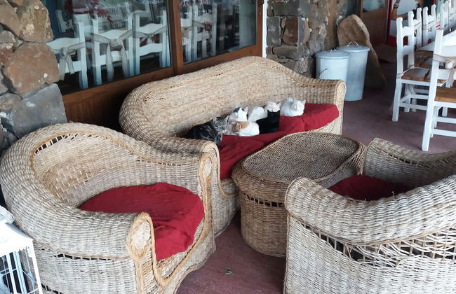 Ecoparco Neule' - Foto 32