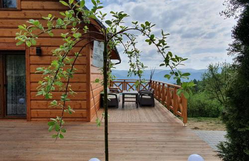 Domek Góralski Piwowarówka - Foto 49