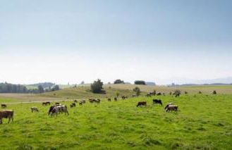 Auszeit Ferienhof - Foto 17