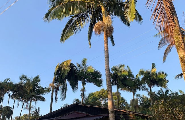 CABAÑAS EL PARAISO EN FILANDIA - Photo 6