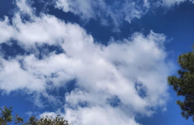 Cozy Solan Apartment With Stunning Views - Foto 37