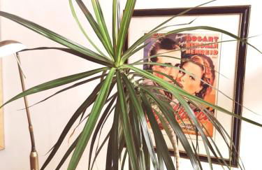 Victoriana Duplex Apartment - Foto 7