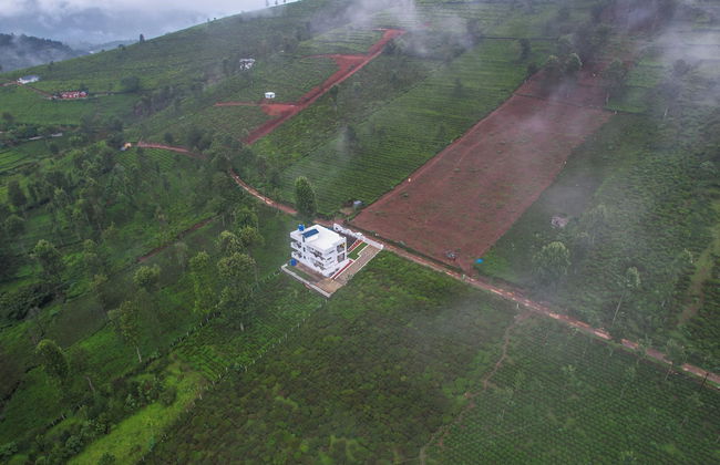 Akshu's Nest - Photo 23