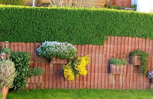 Ferienwohnung David - Foto 63