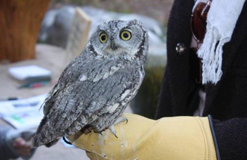 Hideaway Above The Stream Sundance, Utah - Foto 44