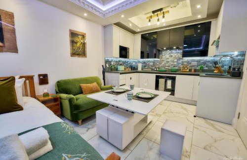 Luxury Studio in Wembley - Foto 44