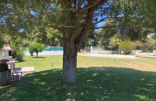 Villa Anastasia! in STROFYLIA pine FOREST!!! - Foto 50