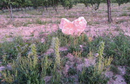 Quinta do Retiro - Foto 47