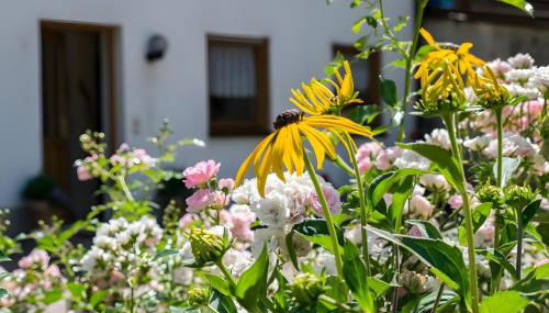 Ferienwohnung Vergissmeinnicht - Foto 3