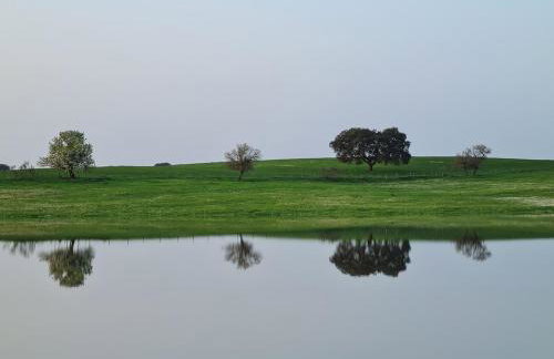 Monte do Arneiro - Foto 8