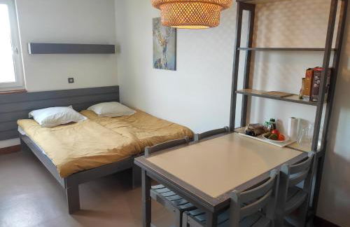 Val Louron Pied des pistes apartment 34 m² 5 pers - Foto 17