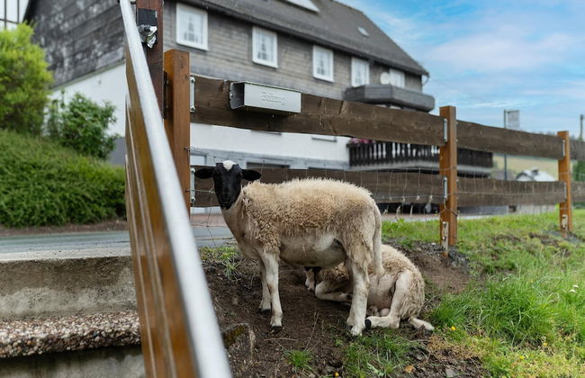 Charmantes Feriendomizil in Medebach - Foto 26