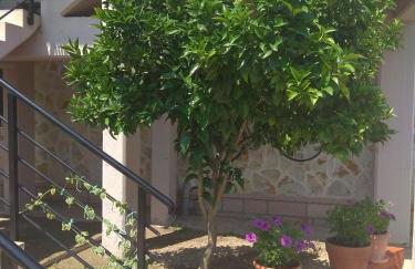 Simos Apartments - Photo 62