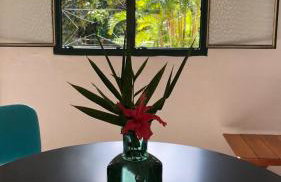 Vivenda dos Guaranys - um projeto ecológico - Loft - Foto 34