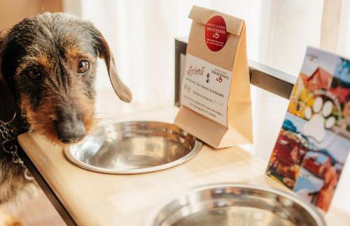 Das Schierke Harzresort - Foto 65