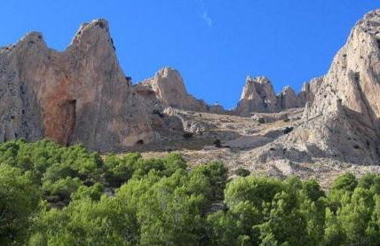 Cortijo Ciprés - Foto 31