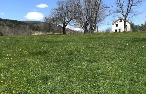 Entire Enchanting, Light-Filled 1830 Farmhouse - Foto 25