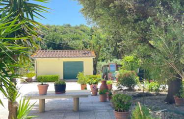 Il Leccio Agriturismo - Foto 67