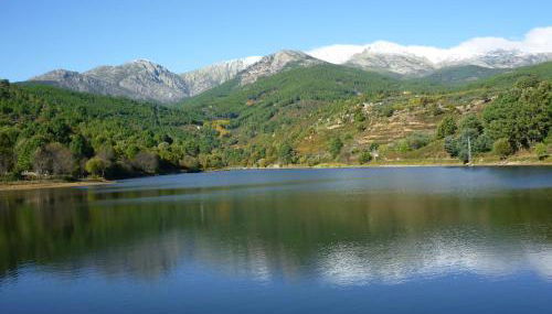 Los Prejones - Foto 5