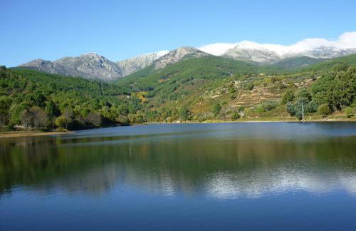 Los Prejones - Photo 5