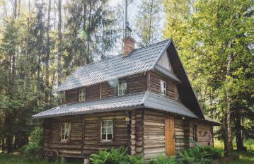 Chatka w lesie - Foto 1