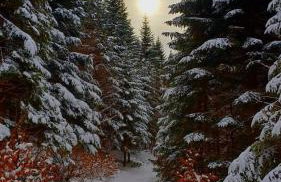 Sielanka, wyjątkowy dom, jacuzzi - Foto 68