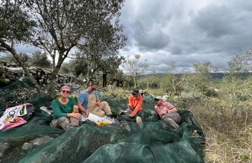 Casa da Curva - Foto 62