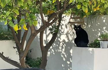 Maison avec vue mer et jacuzzi à 15 mn du centre - Foto 20