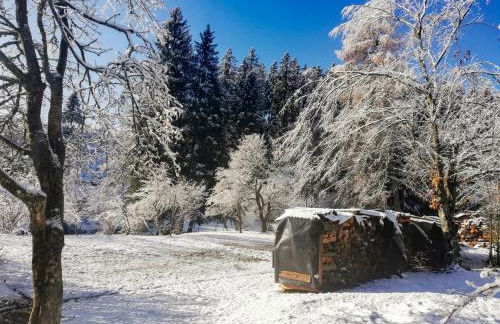 Haus Elena - Foto 13