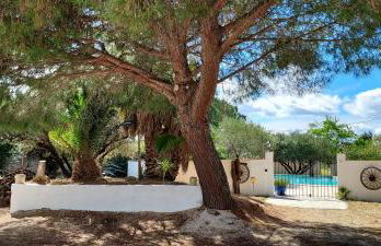 Mas de Plisset - Foto 43