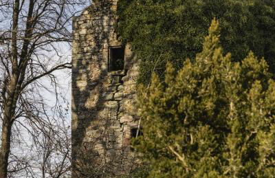 Cairns Farmhouse - Foto 42