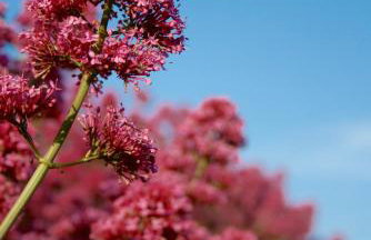 19 Ocean Gate - Foto 18