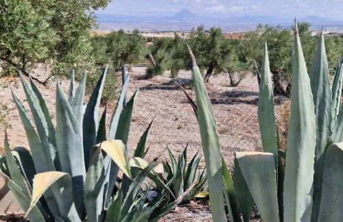 Casa De La Familia - Appartement - Photo 21