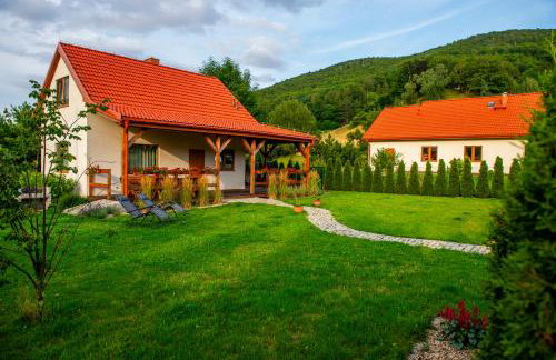 Domek Chmielnik - Foto 38