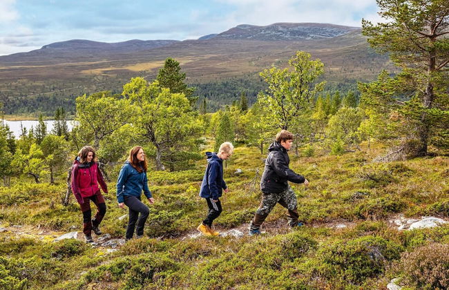 12 Person Holiday Home in Idre - Foto 17