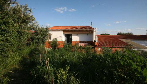 Horto do Amor - Foto 2, Garden view