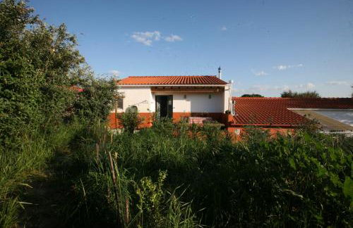 Horto do Amor - Foto 2