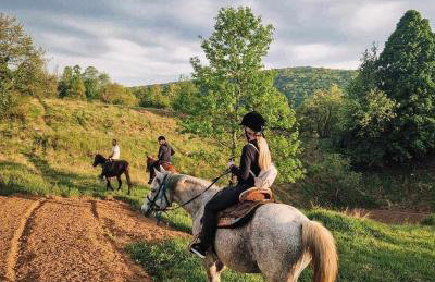 Apartment Nina - Foto 24