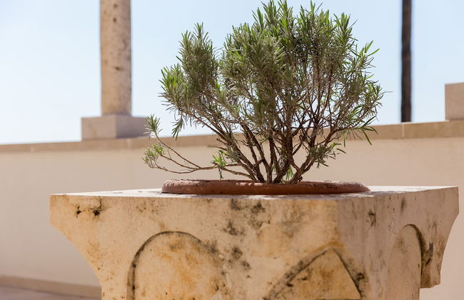 Apartment Toma - Foto 17