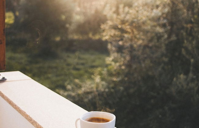 Chão do Ribeirinho - Photo 27